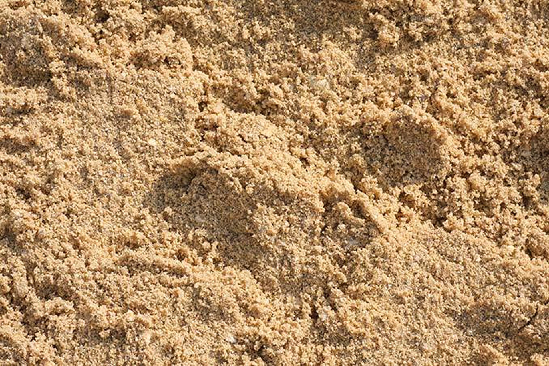 Купить песок в пензе с доставкой. Песок Речной намывной. Песок карьерный намывной. Намывной карьер карьер песок. Песок Речной сеяный.